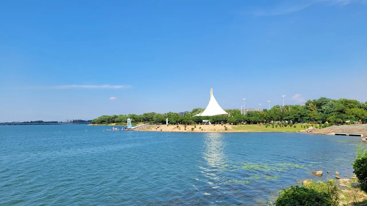 20250801_132919.jpg