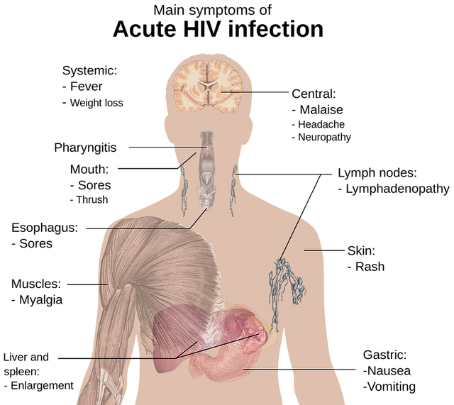 hiv-1280510_640.png