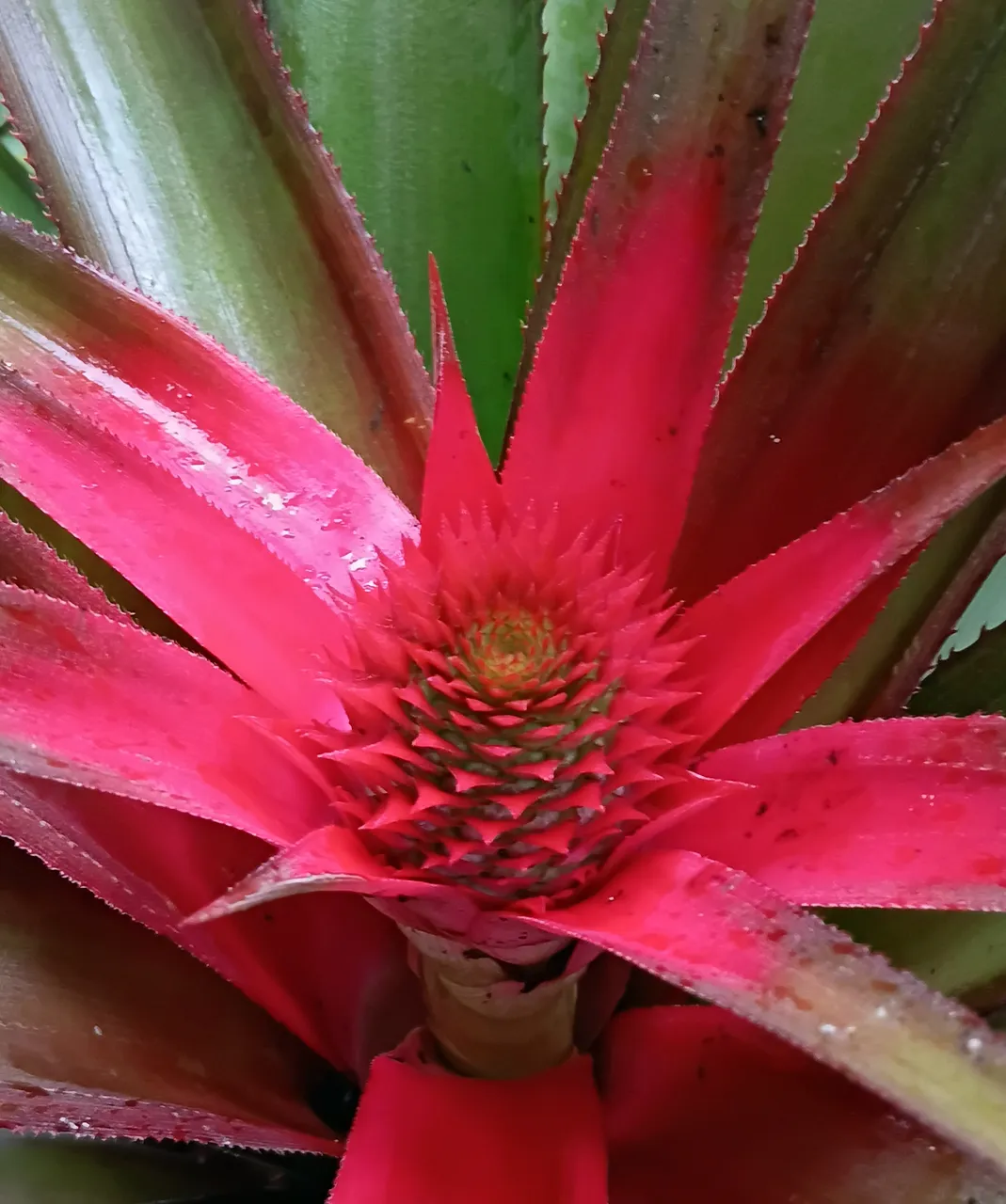 20250731_091557.jpg