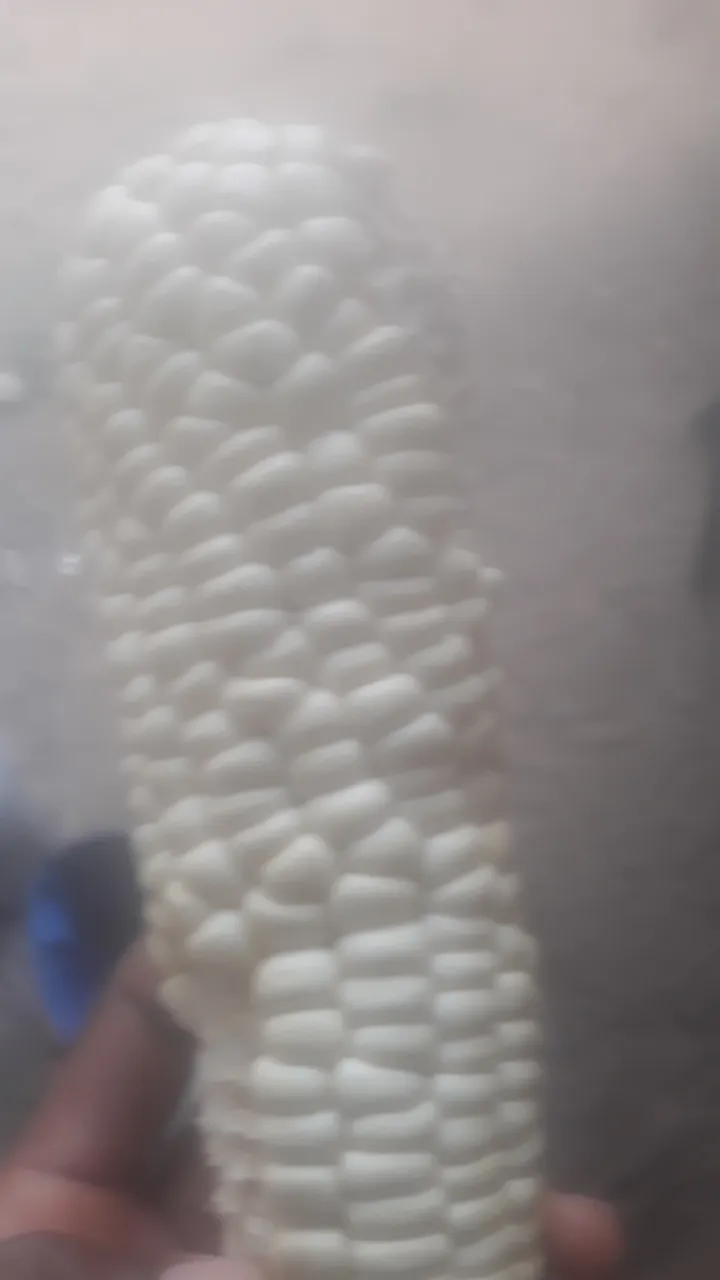 20230308_133056.jpg