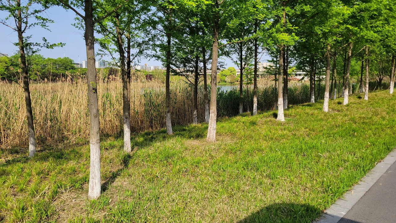 20230421_153757.jpg