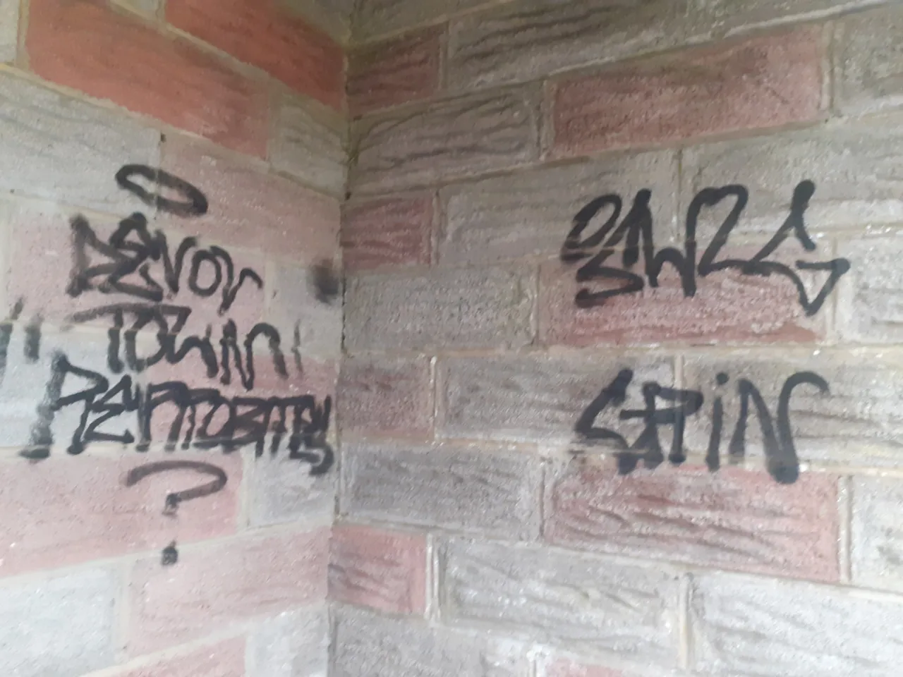 20210618_210011.jpg