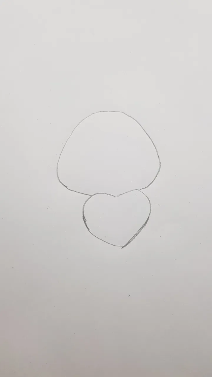 20220225_230954.jpg