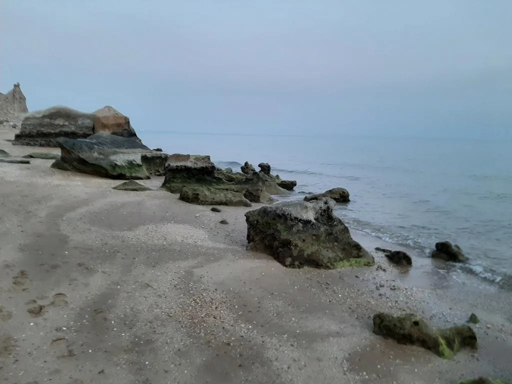 20230430_183800.jpg
