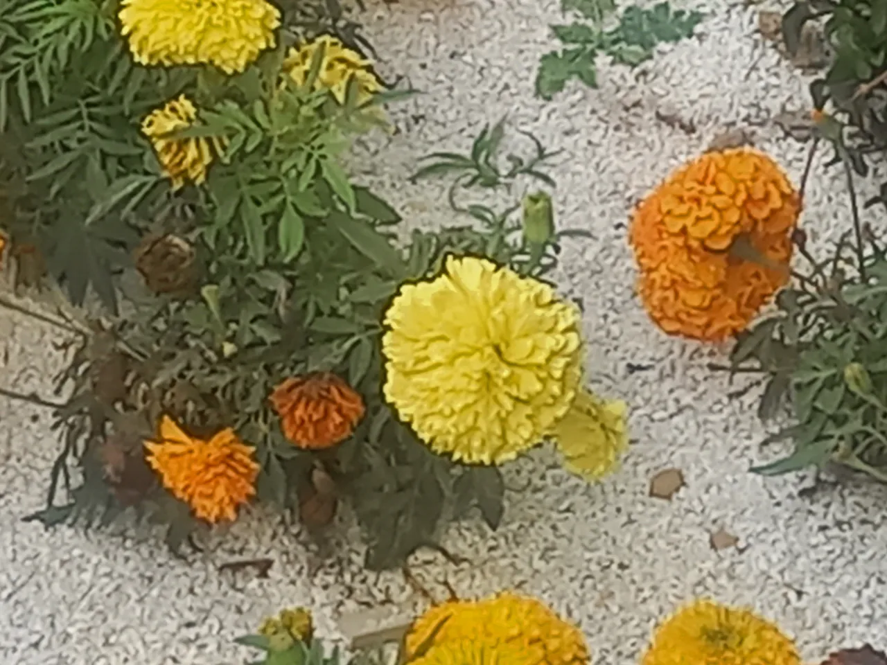 20230405_112224.jpg