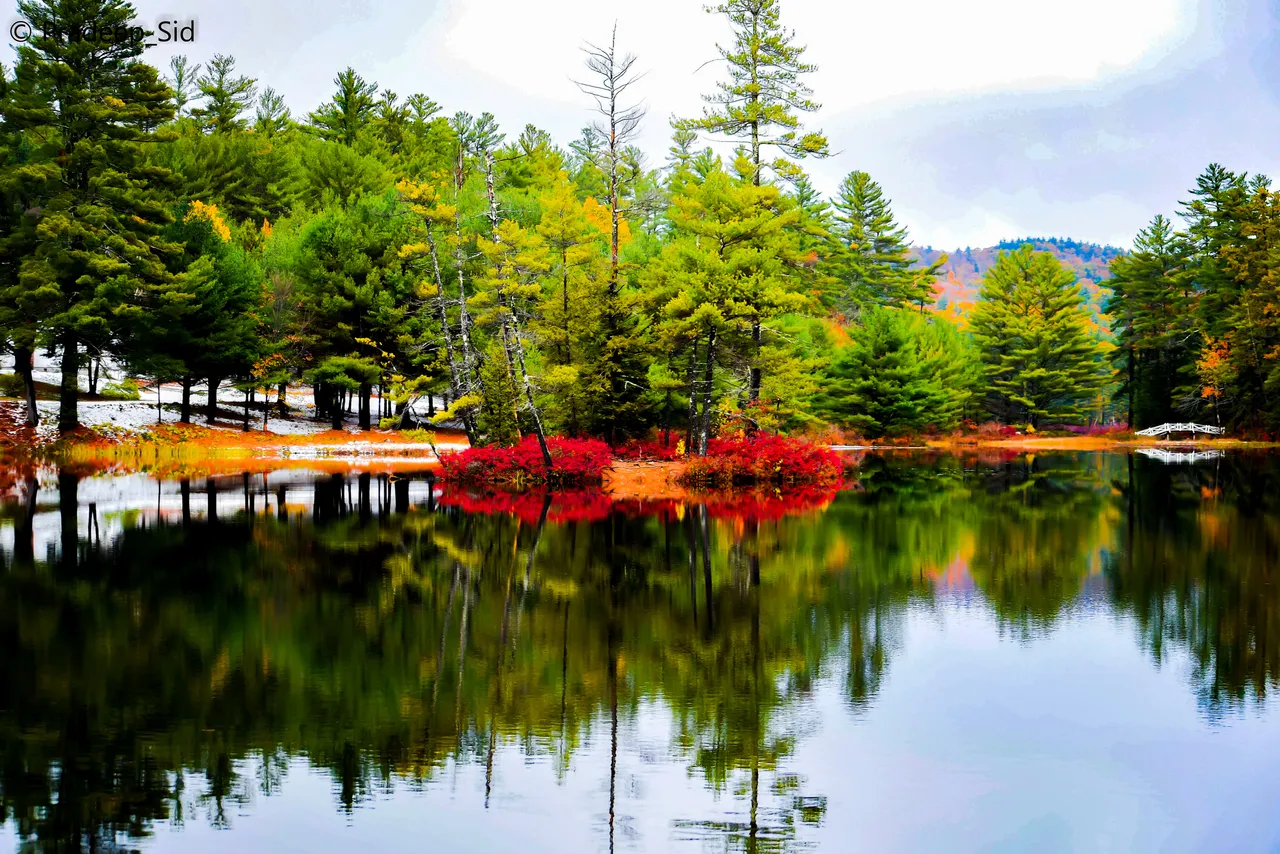 20201103_141218.jpg