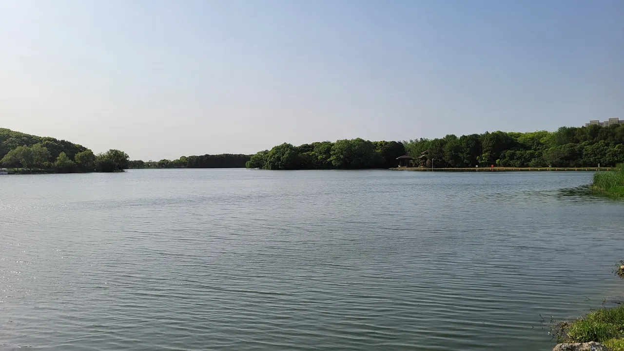 20230421_155125.jpg