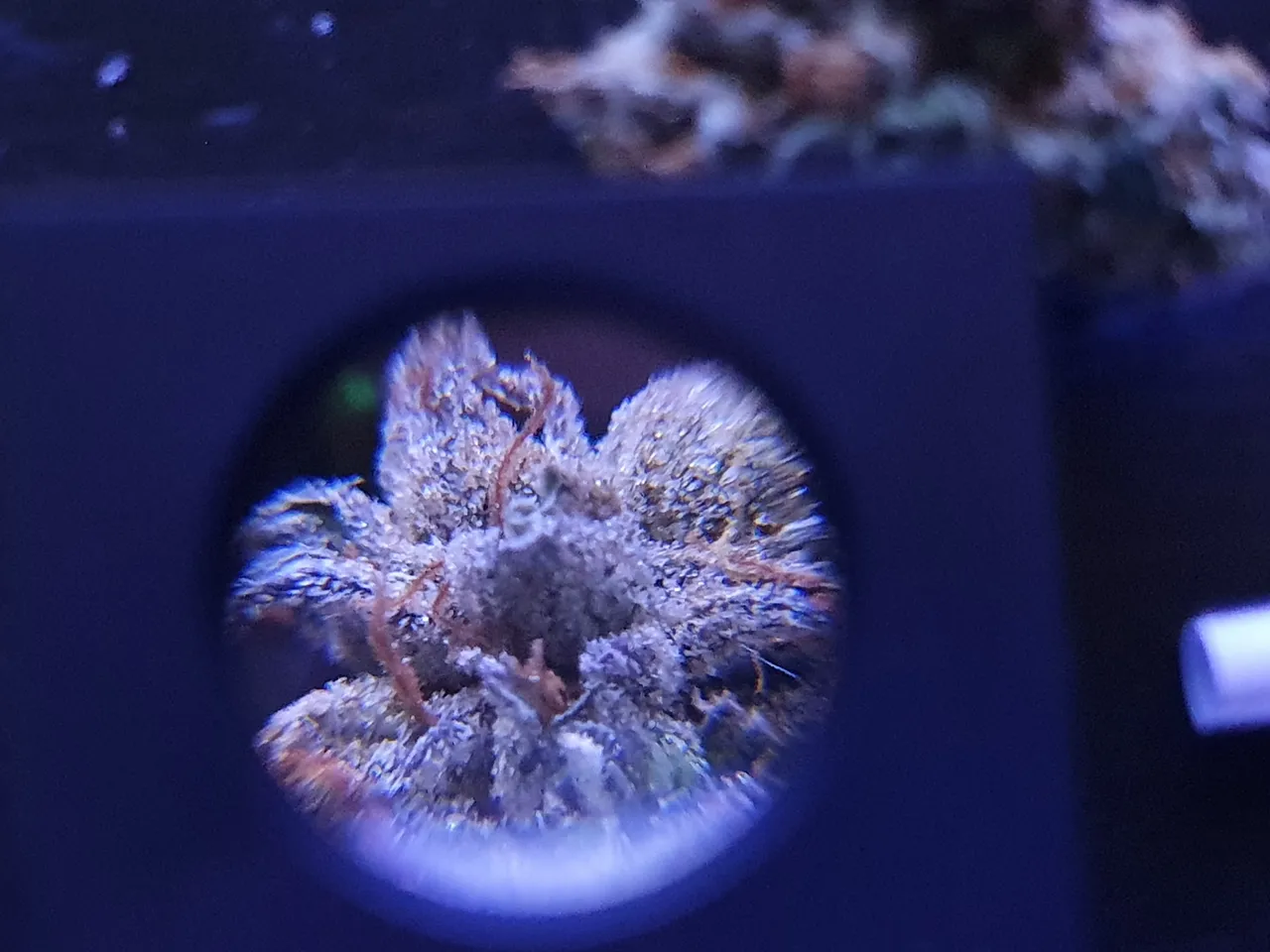 20210815_025311.jpg