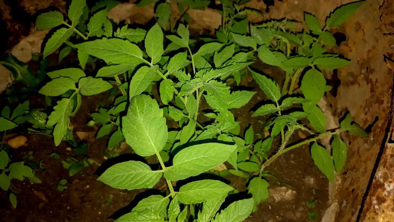 20251026_181541.jpg