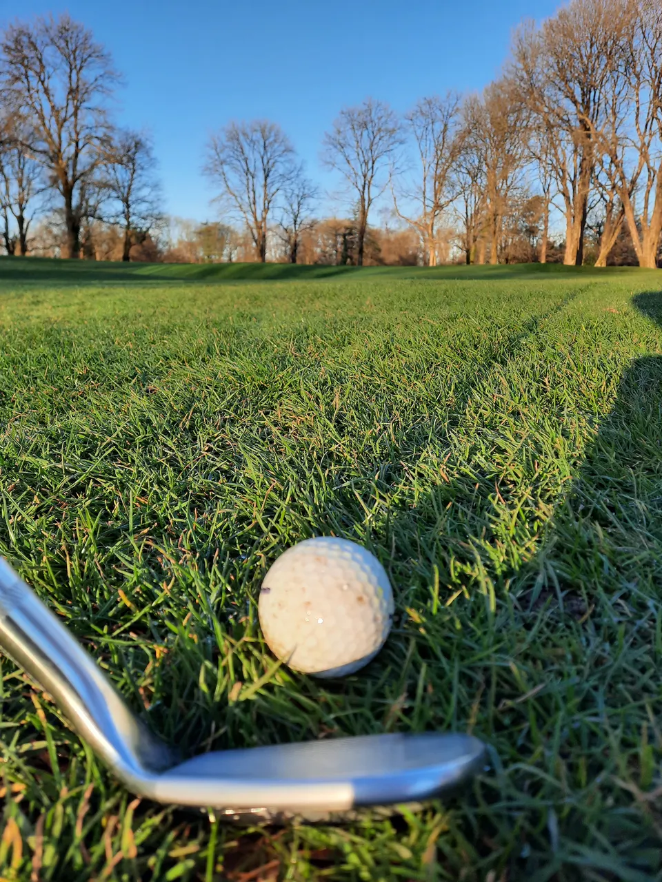 20220331_080432.jpg