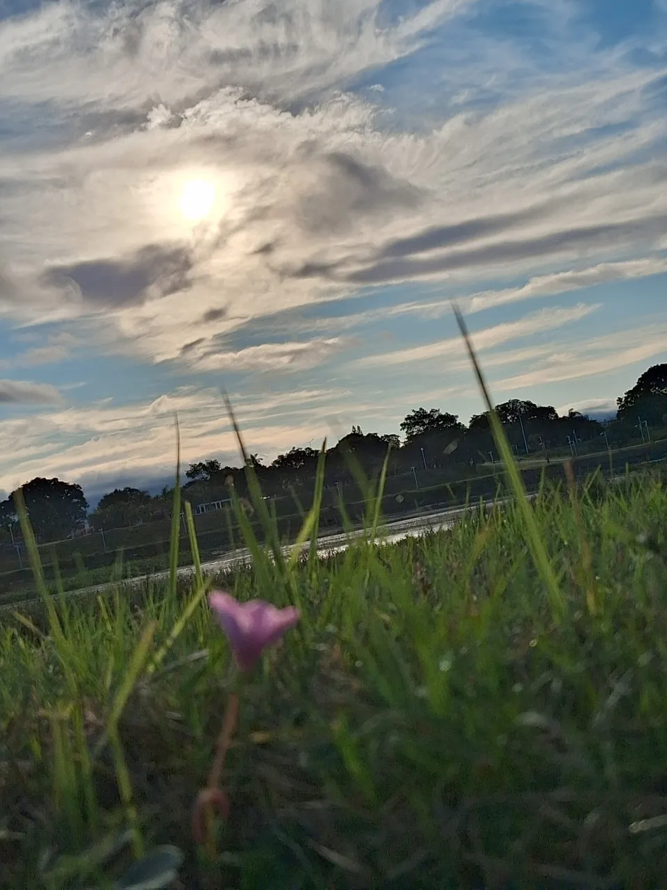 20250621_163724.jpg