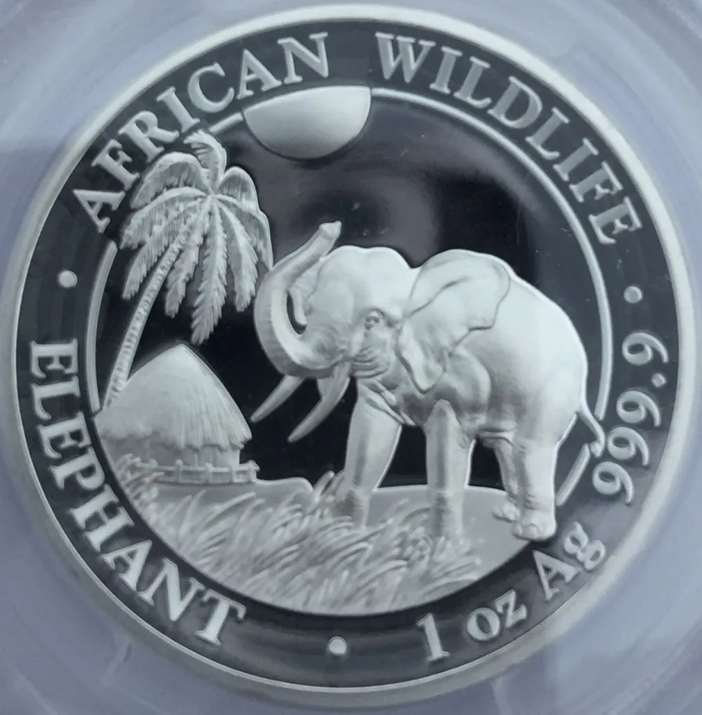 2017 Elephant.jpg