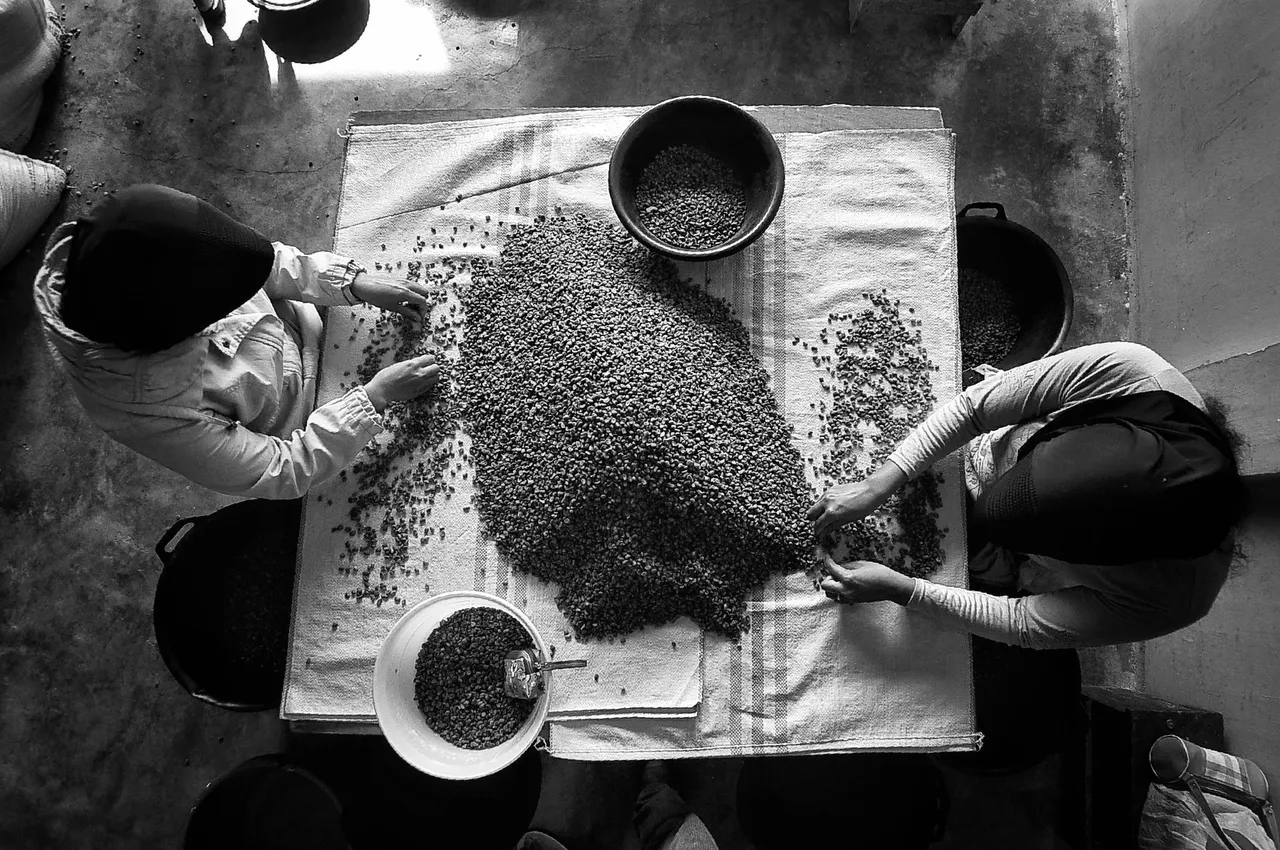 DSC_0648-01-01.jpeg