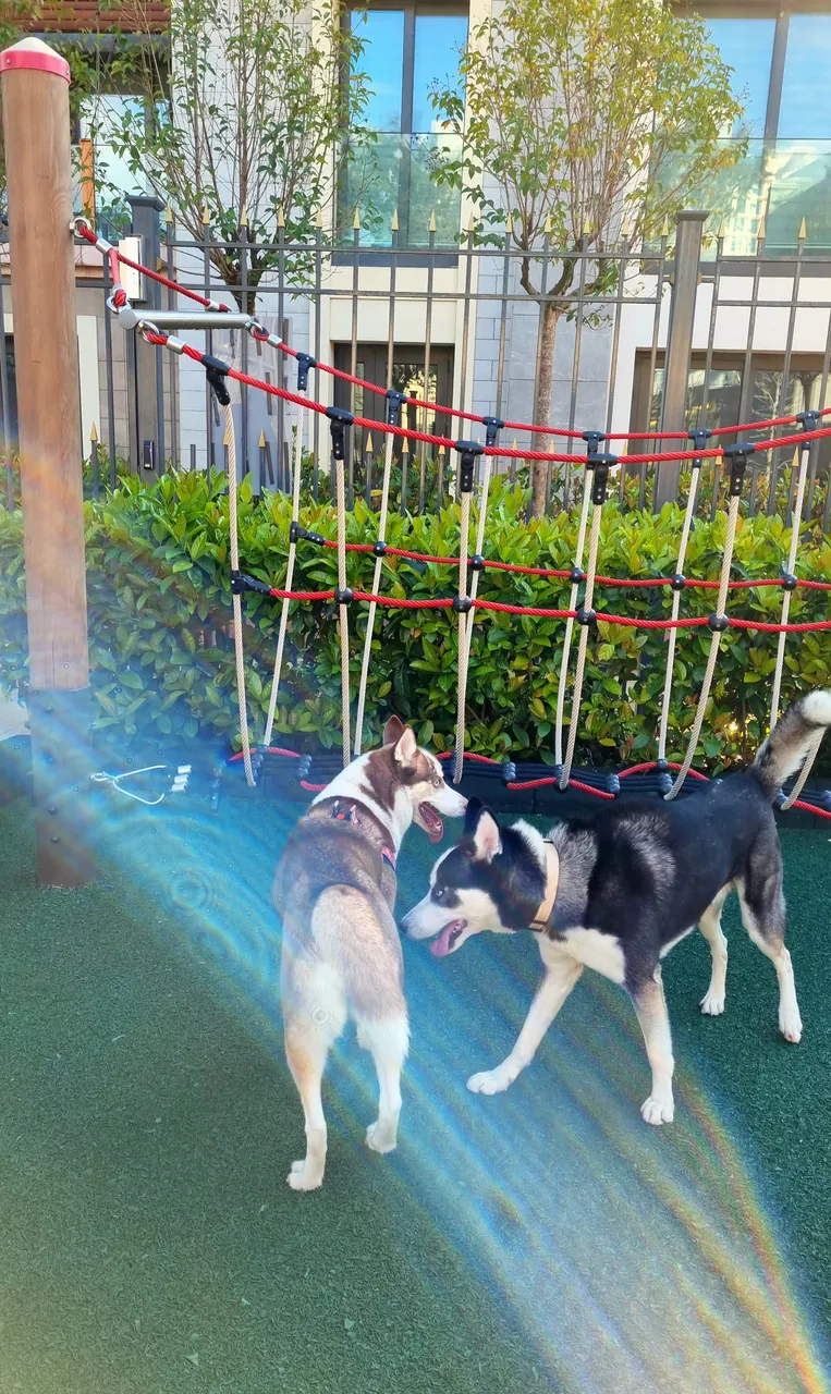 20230329_181913.jpg