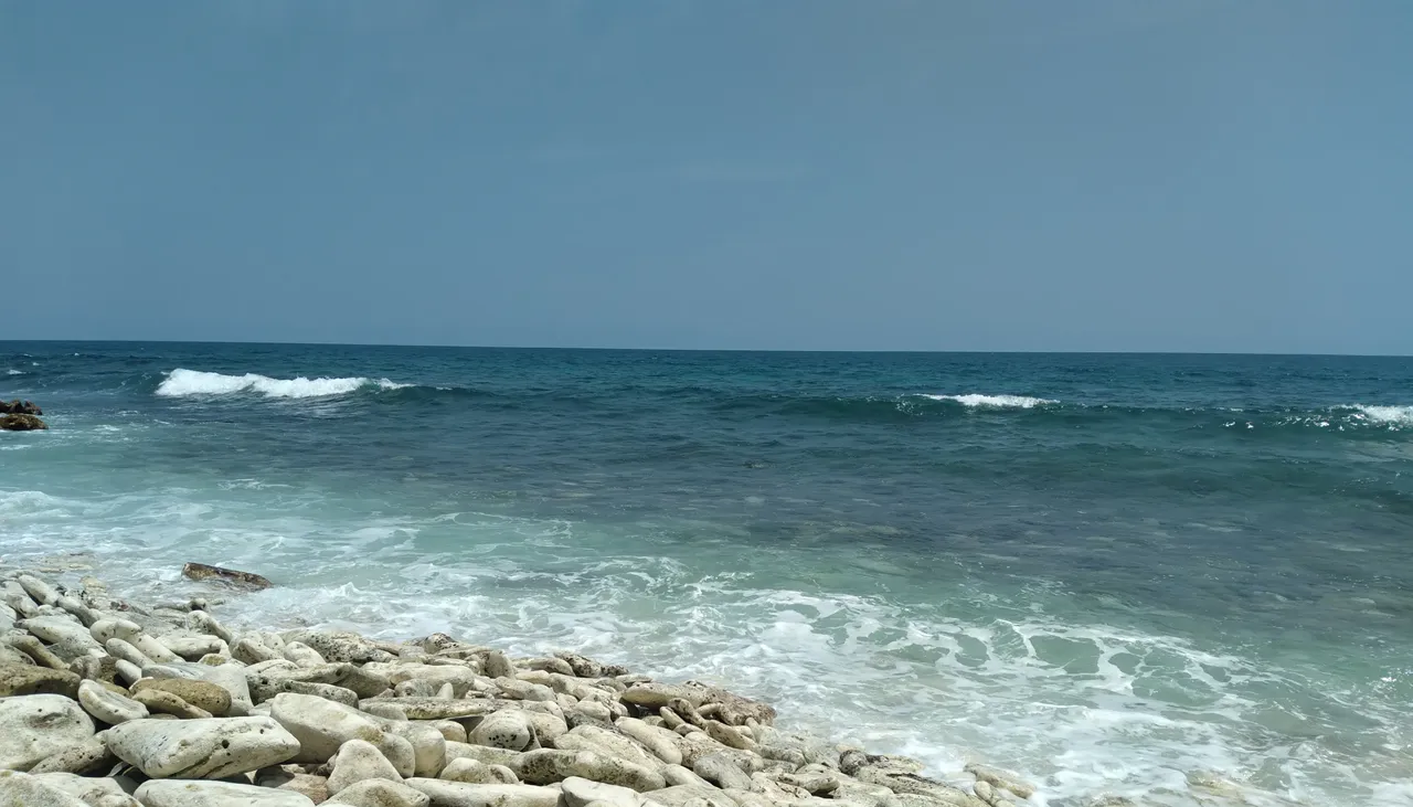 20230909_114028.jpg