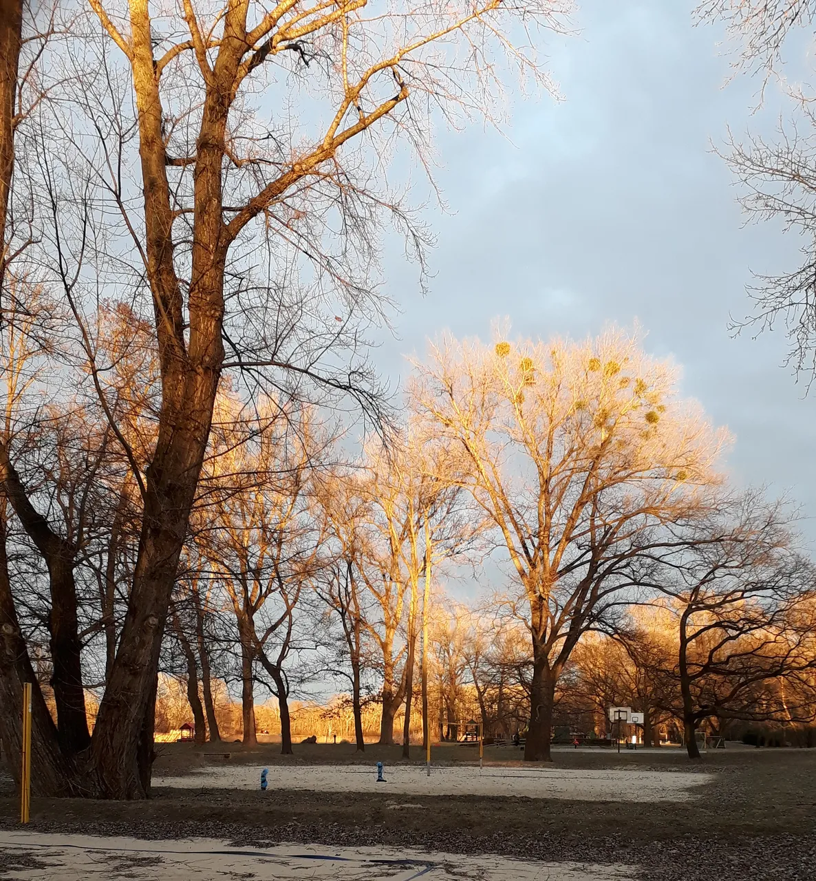 20220321_094223.jpg