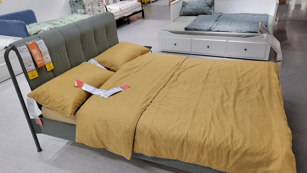 20230919_114455.jpg