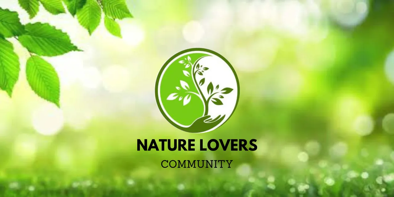 Nature Lovers.jpg