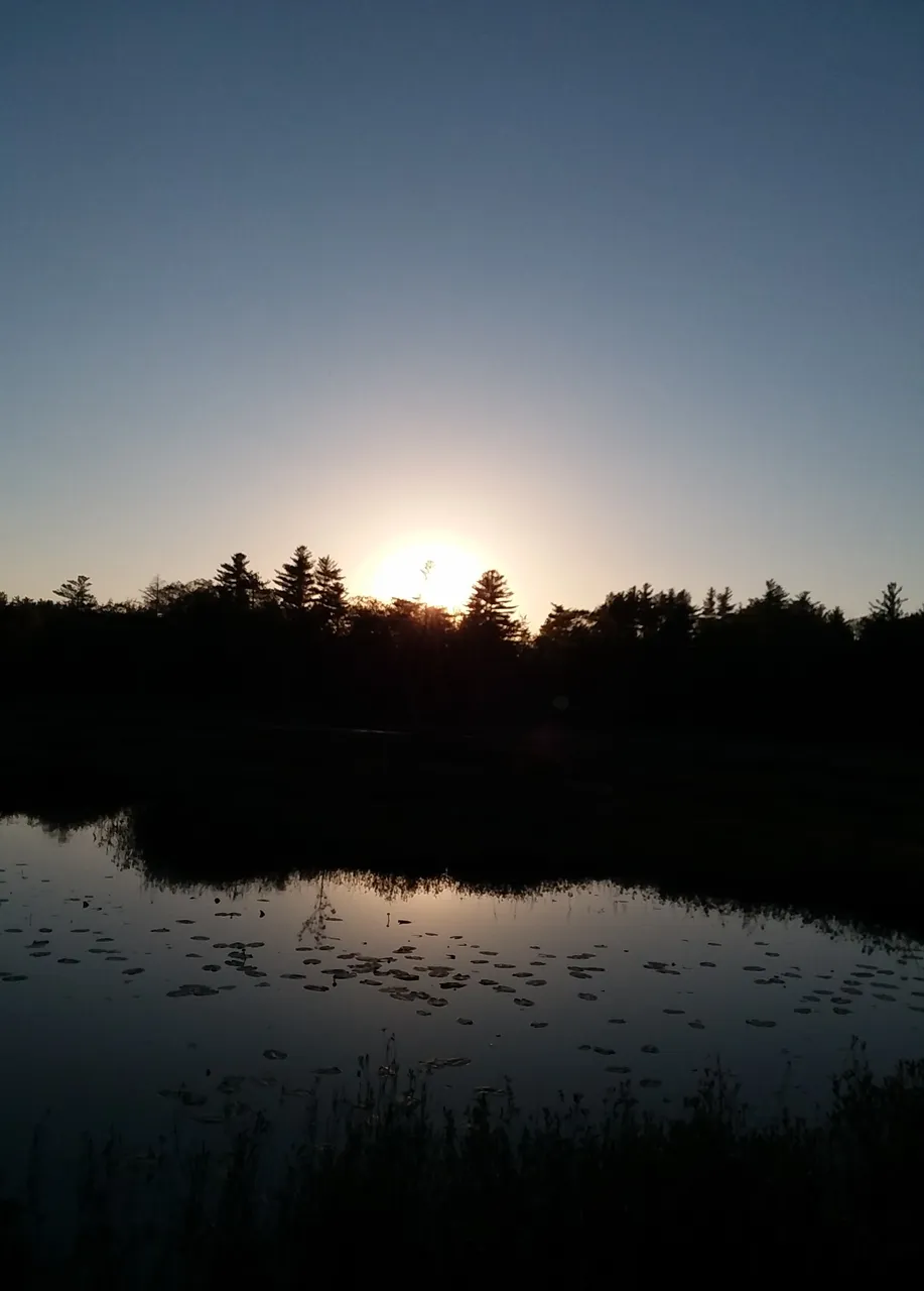 20200607_103435.jpg