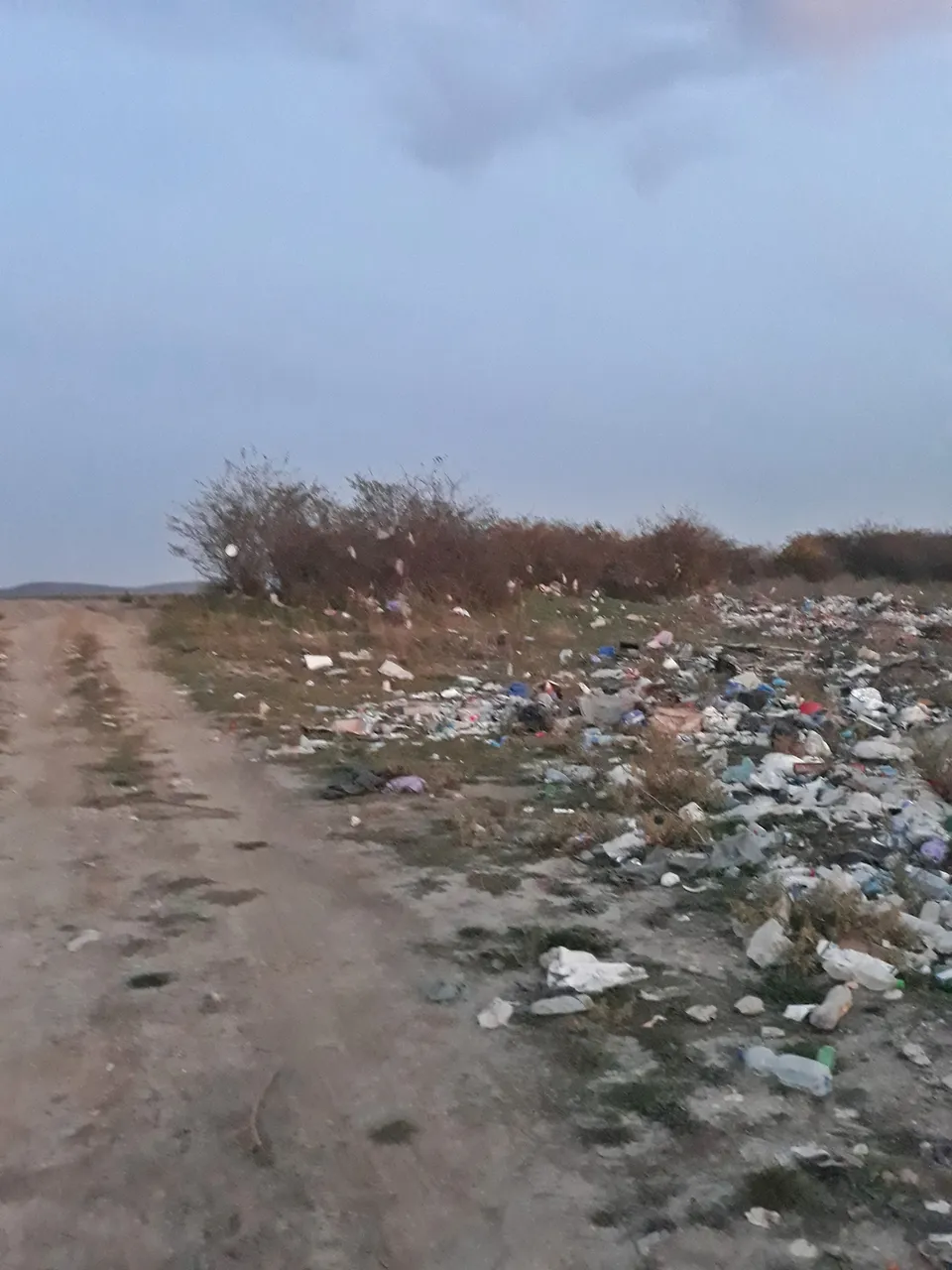 20171018_190056.jpg