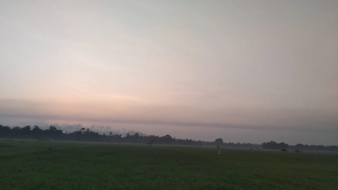 20240318_064332.jpg