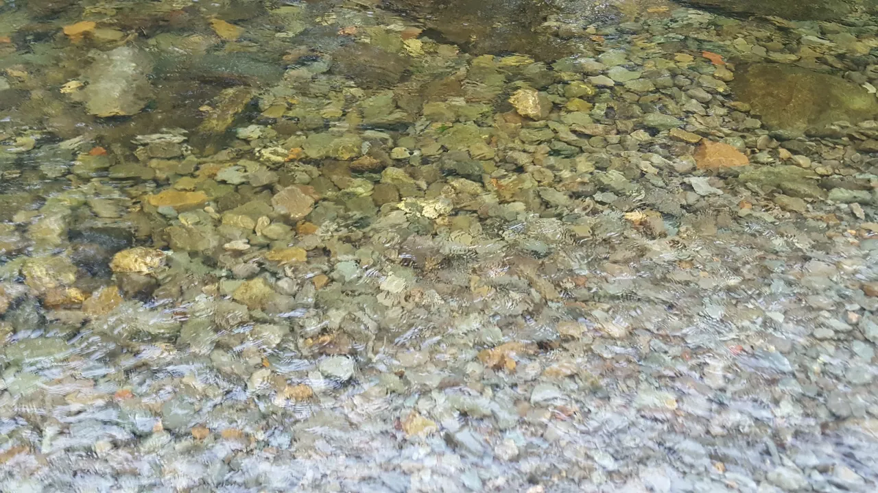 20200702_081318.jpg