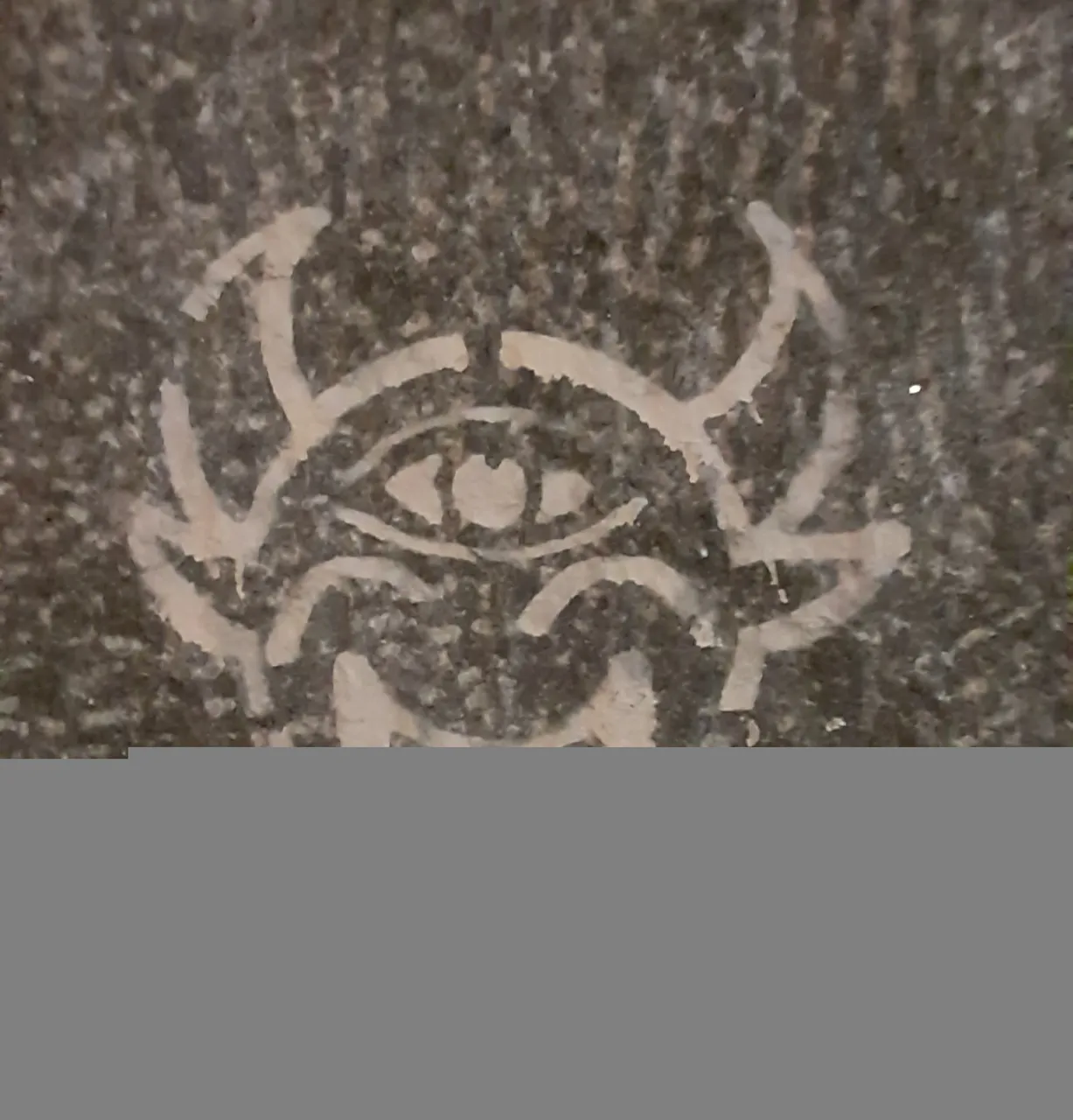 20250420_210936.jpg