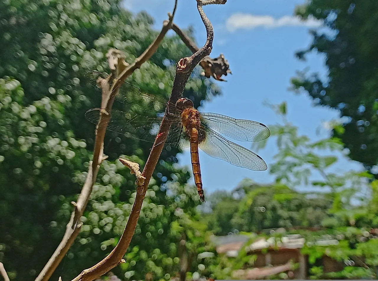 20230827_125035.jpg