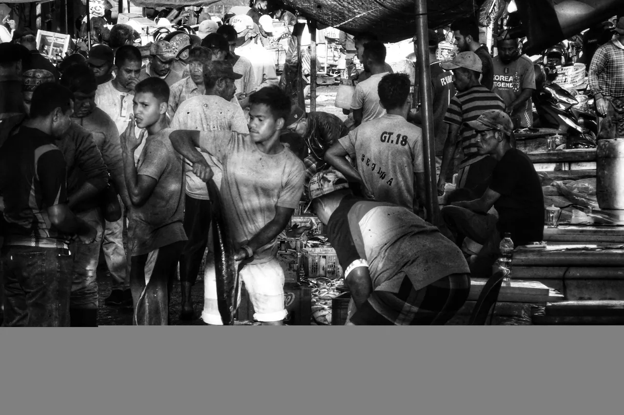 DSC02721-01-01.jpeg