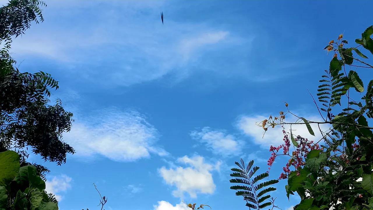 20250720_140104.jpg