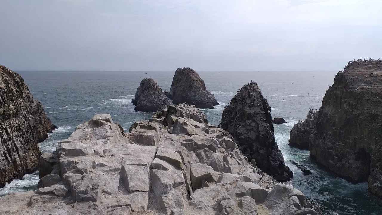 20221115_150110.jpg