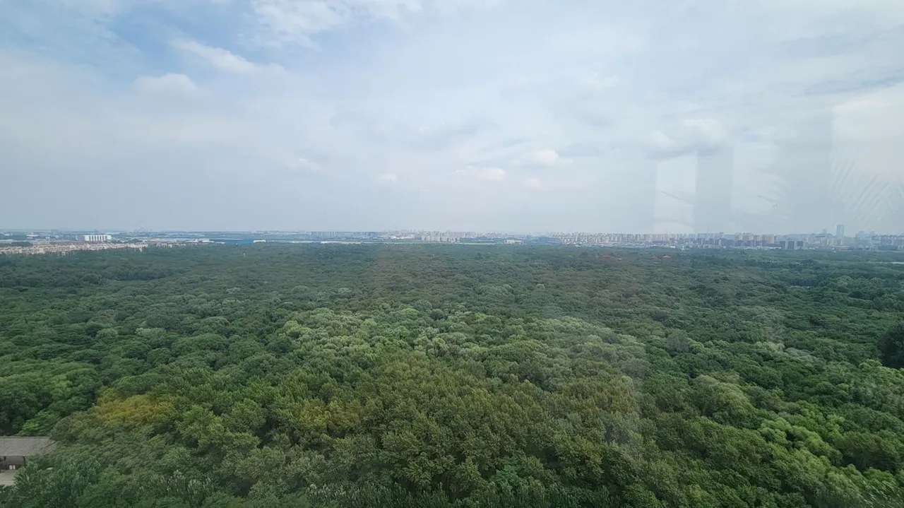 20250725_124847.jpg