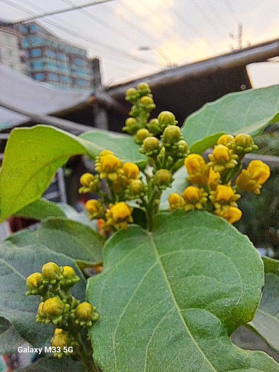 20250412_174640.jpg