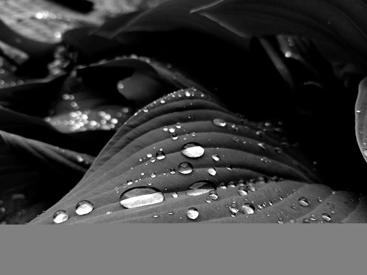 20220613_201448.jpg