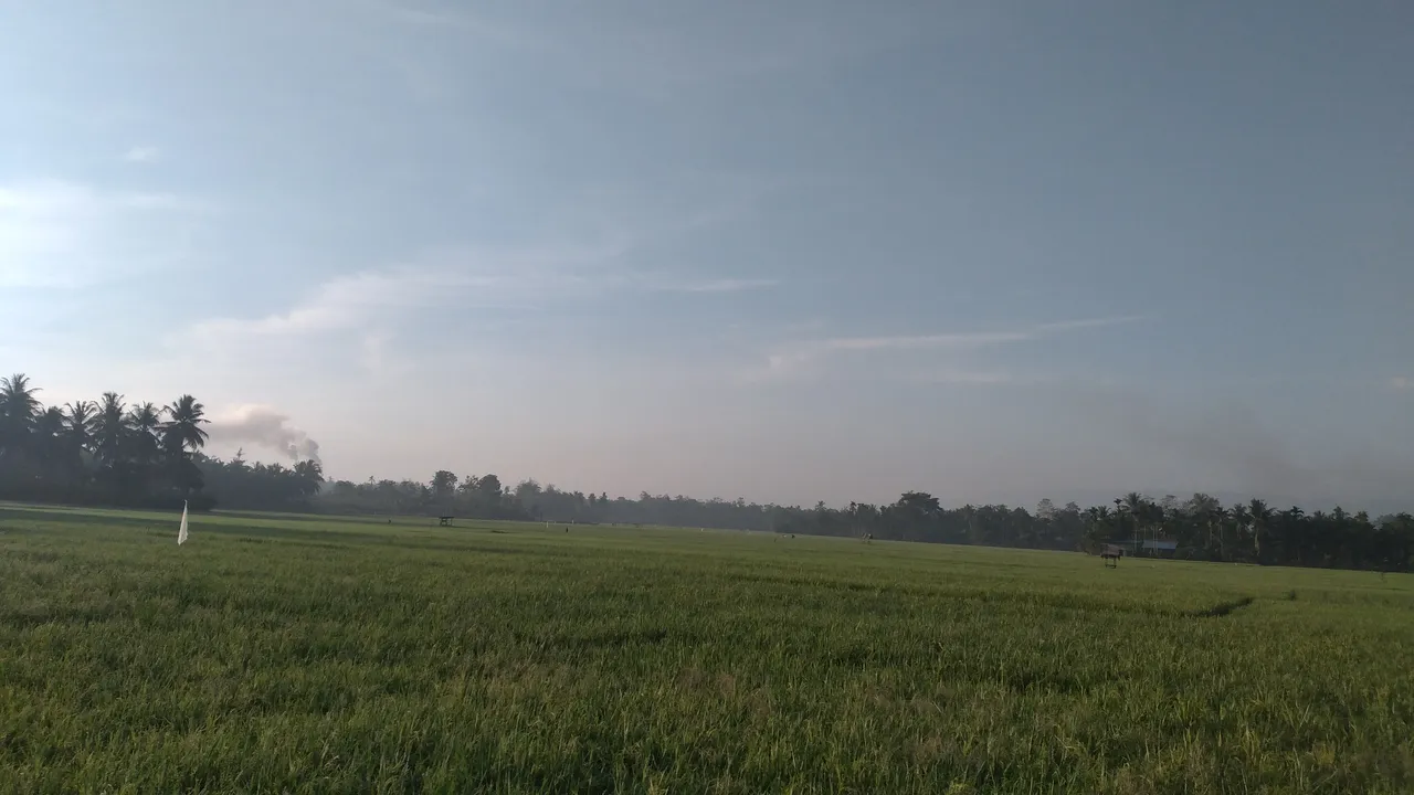20240402_072105.jpg