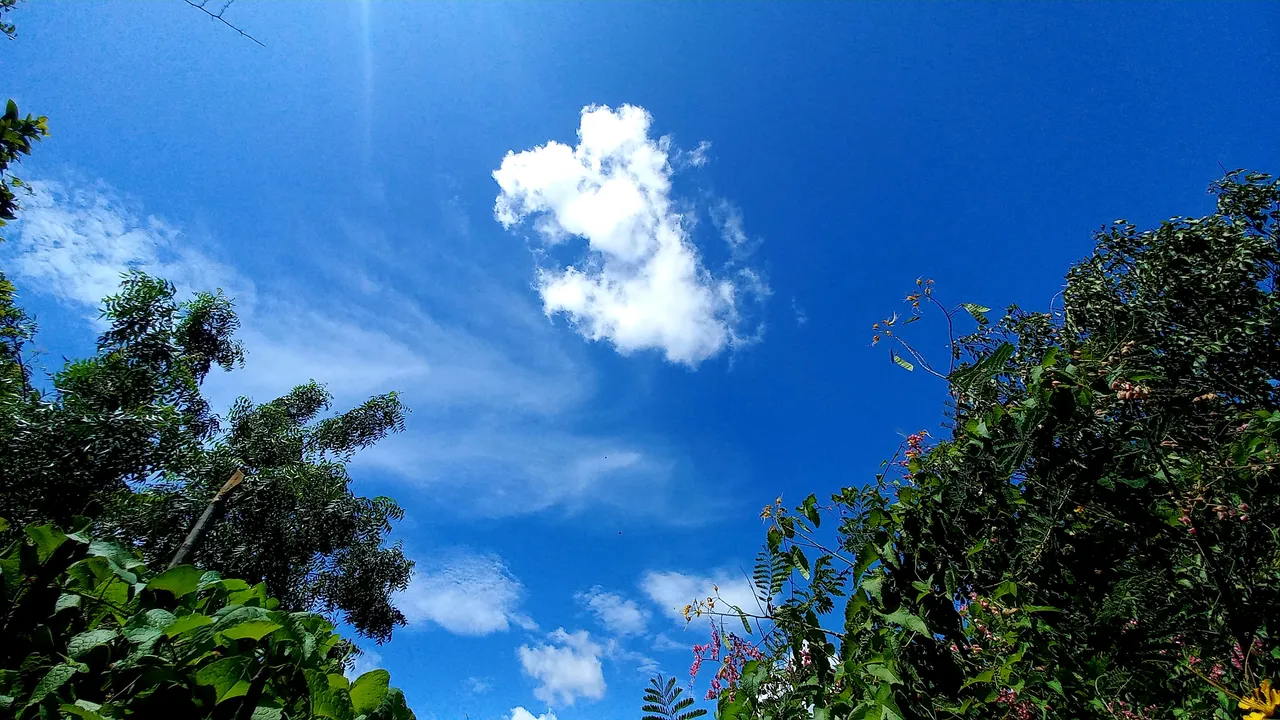 20250720_140114.jpg