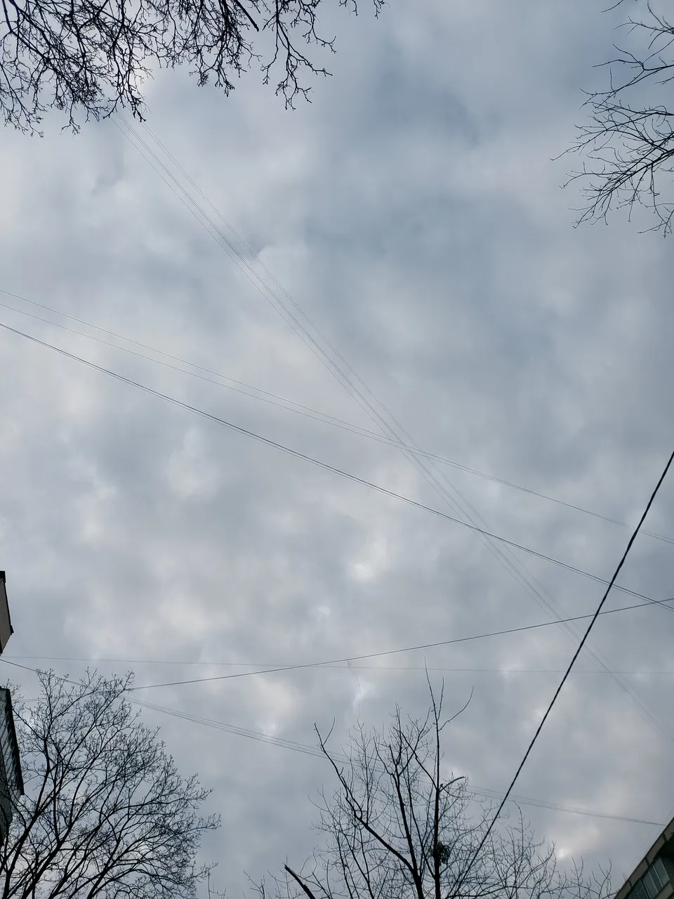 20220105_143856.jpg