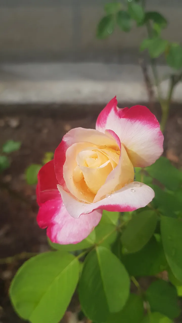 20230903_140236.jpg