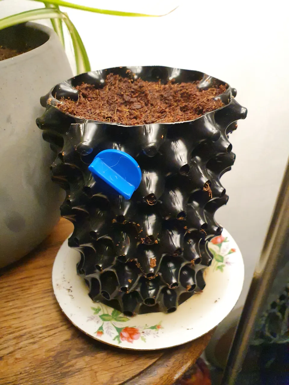20201022_215735.jpg