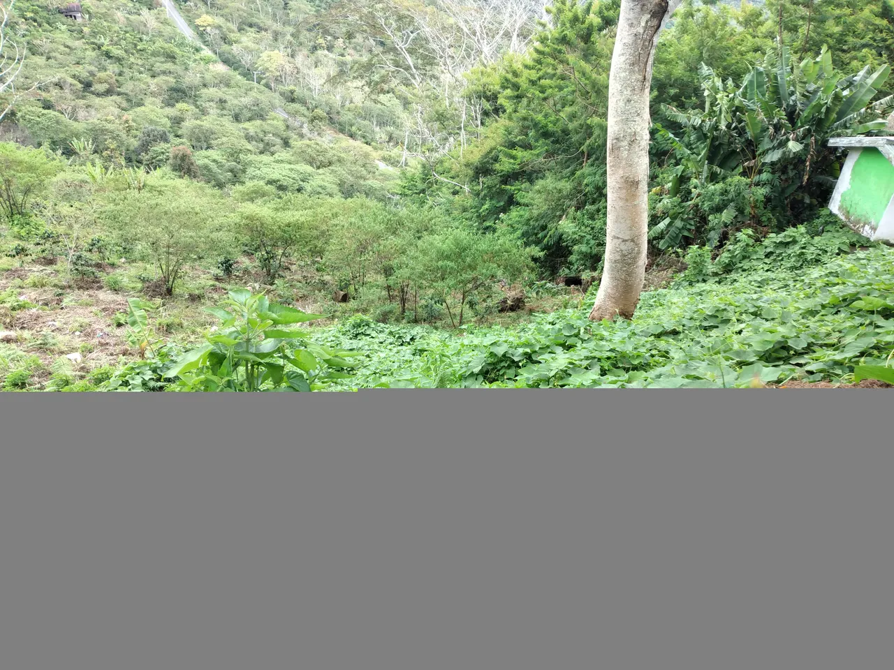 20220925_123141.jpg