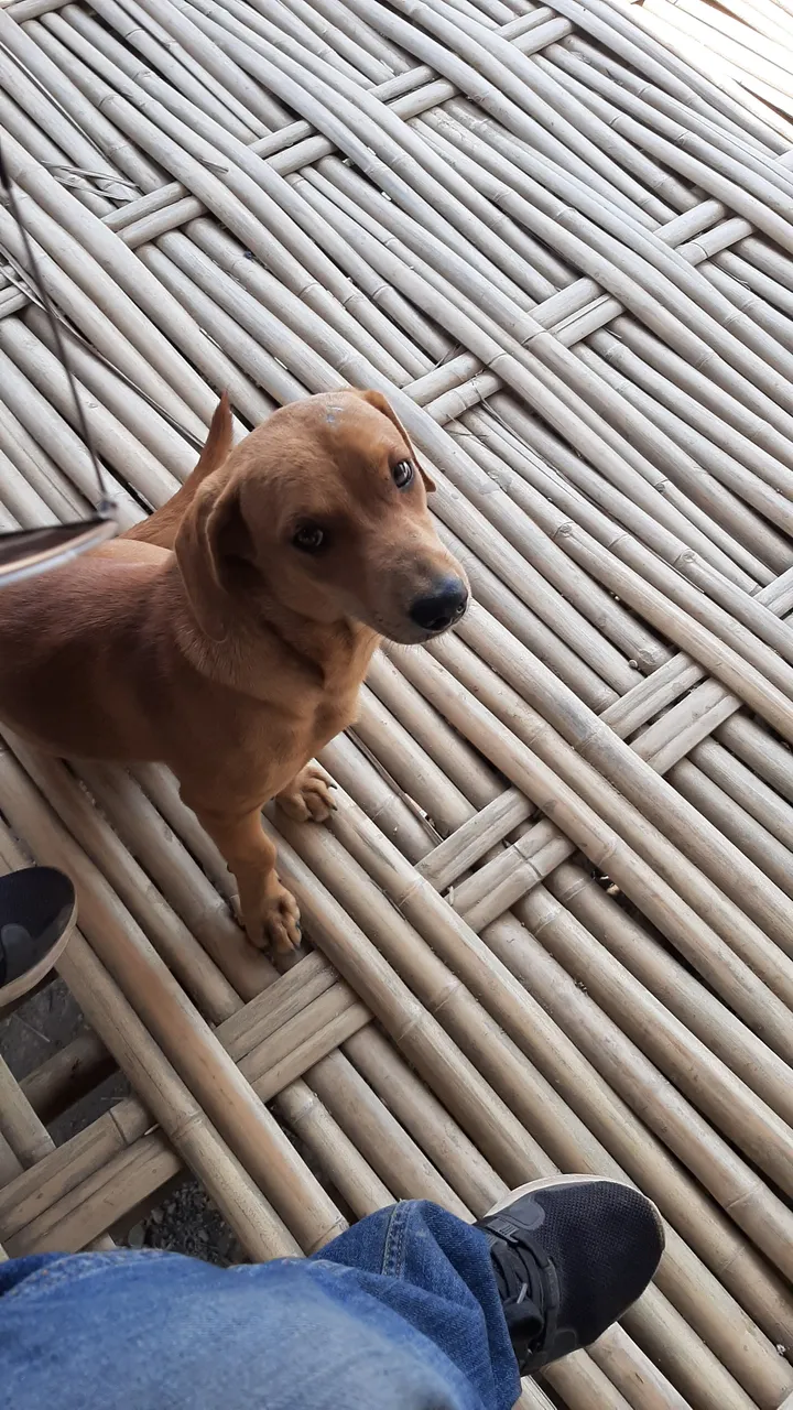 20191203_124753.jpg