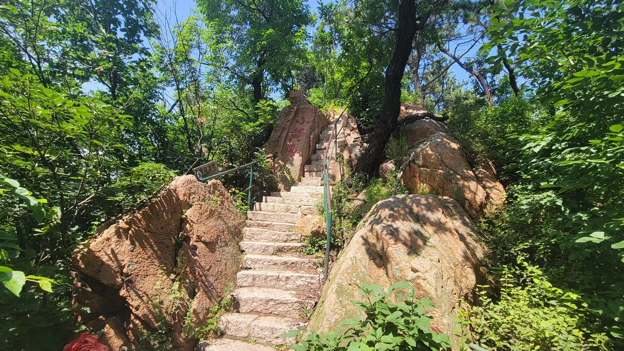 20220801_135505.jpg