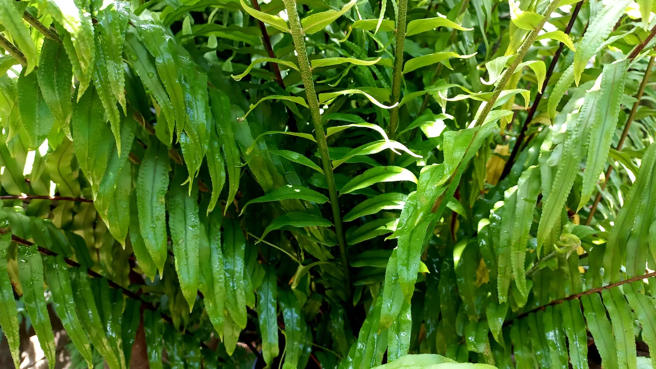 20230727_134104.jpg