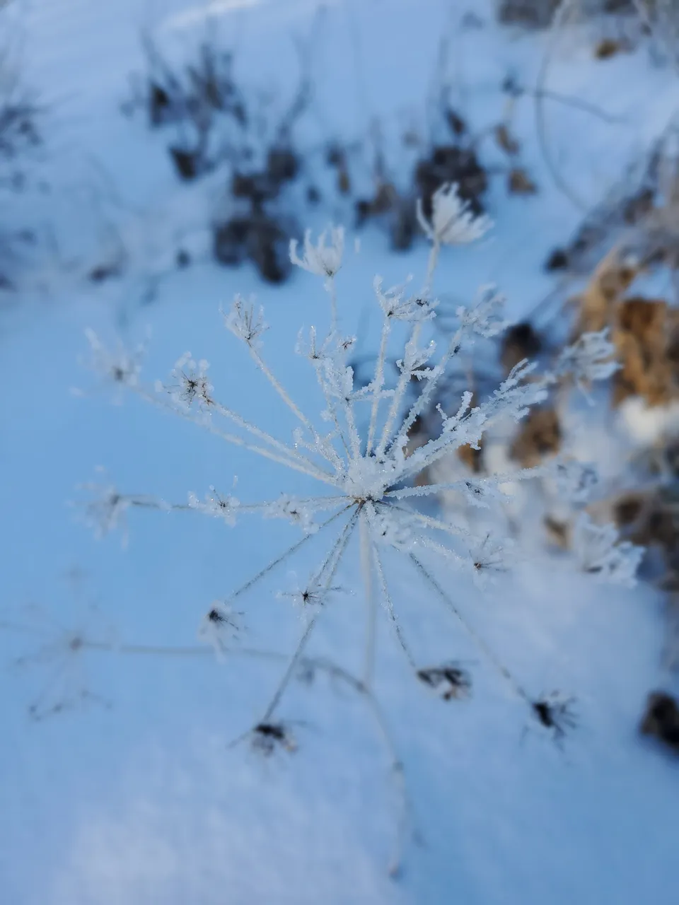20201206_114123.jpg