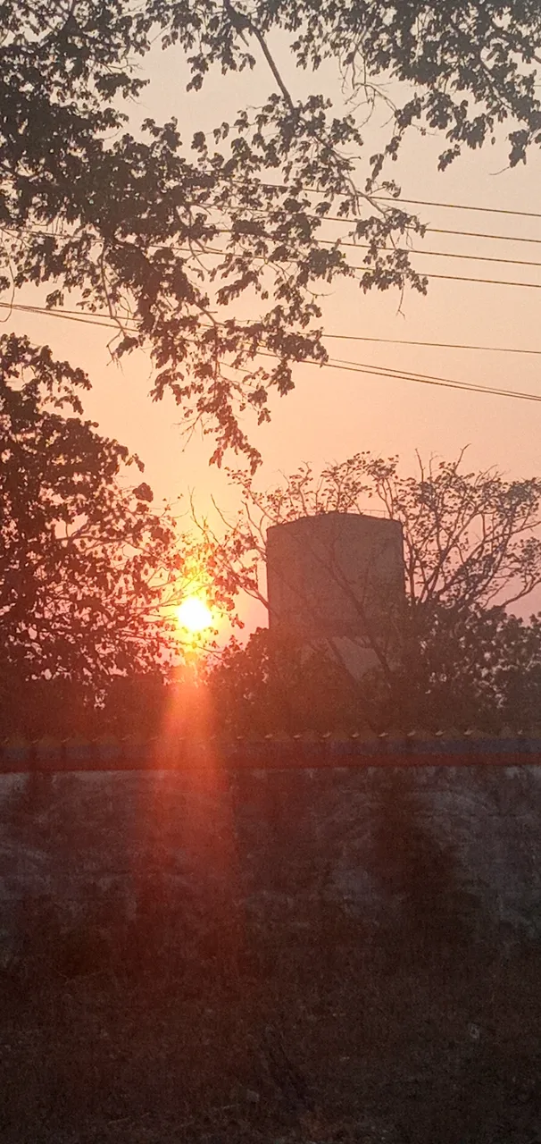20240411_180658.jpg