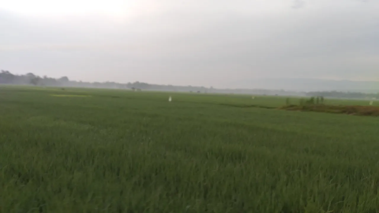 20240310_065908.jpg