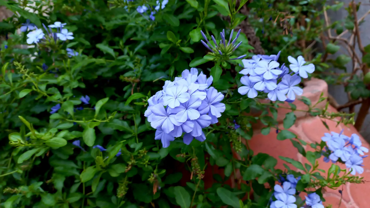 20230425_181414.jpg