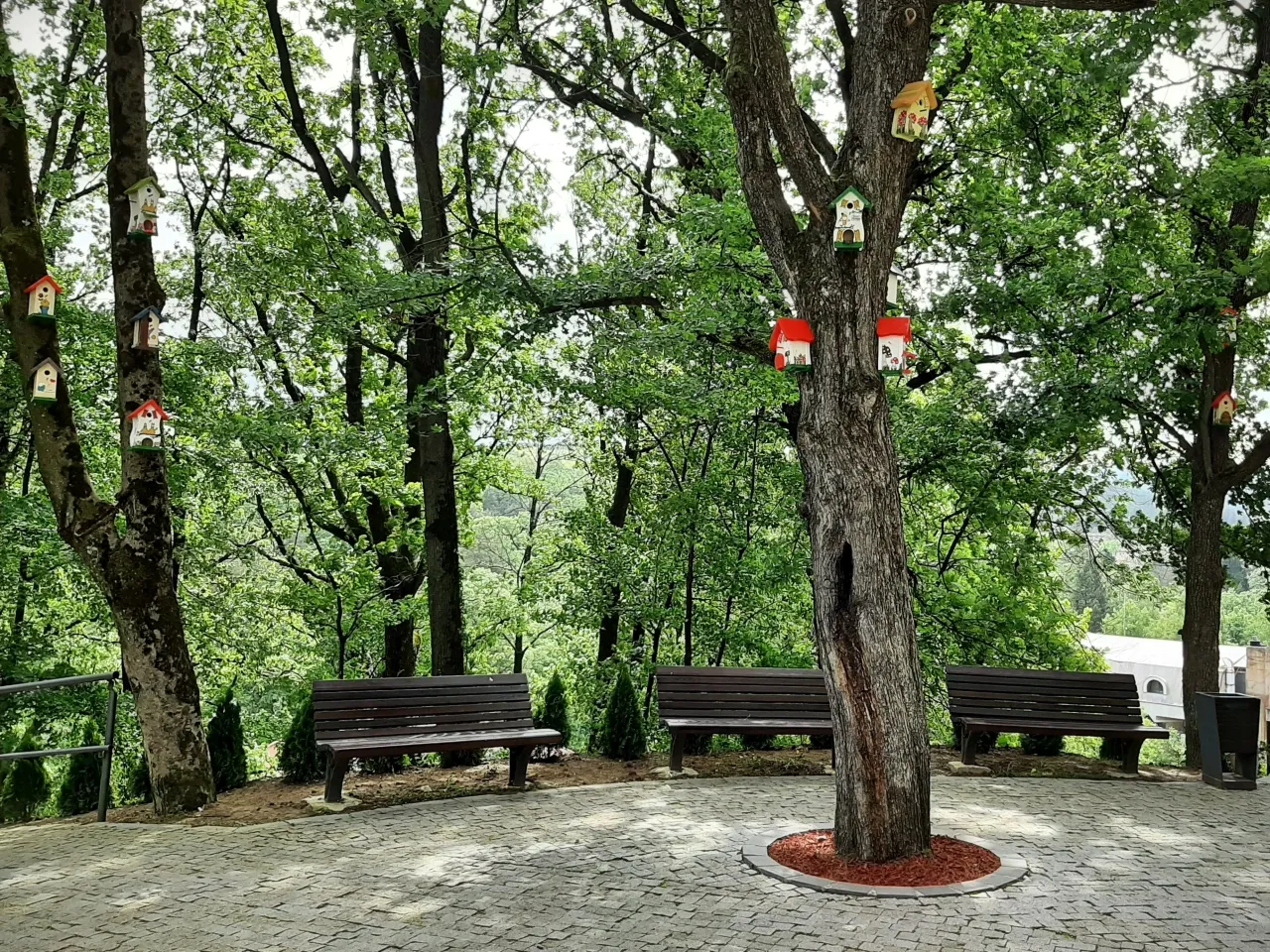 20240430_105650.jpg