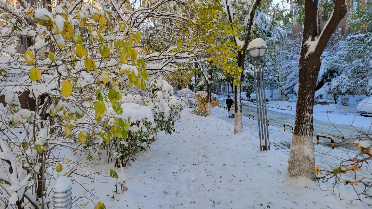 20231107_075142.jpg