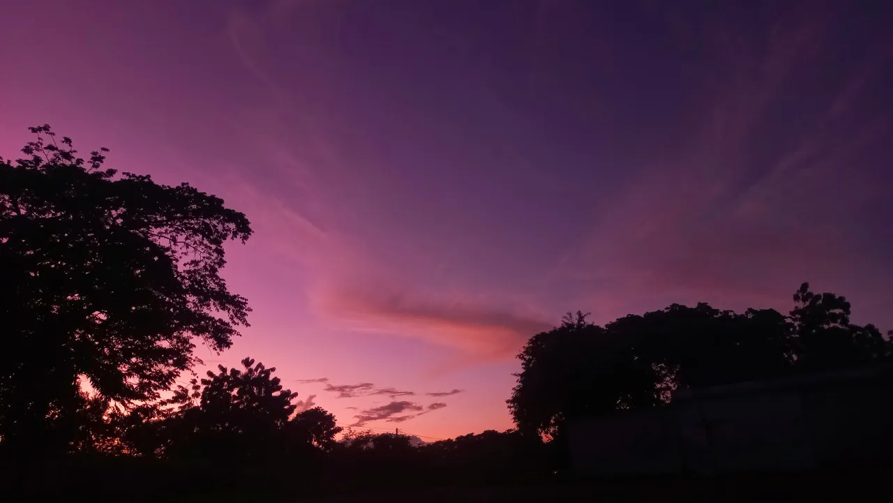 20250716_190716.jpg
